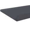 vidaXL Drijvende plank 2 pcs Antraciet 100 x 18 x 2,5 cm Staal