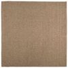 vidaXL Binnen- en buitentapijt AGIRA Naturel 120 x 120 cm Polyester