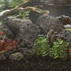 Miniatuurafbeelding van het product 2 van 5