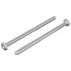 vidaXL Bout 2 pcs Zilver M6 x 100 mm Staal