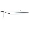 vidaXL Handbediende luifel met LED's Wit en antracietkleurig 3 x 2,5 m