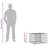 vidaXL Gabion Verhoogd Bed Zilver 60 x 60 x 40 cm Gegalvaniseerd staal