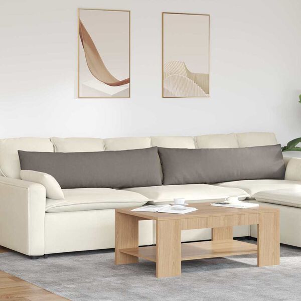 vidaXL Sofa Kussens 2 stuks Taupe 145 x 40 cm Stof