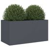 vidaXL Plantenbak 62x30x29 cm staal antracietkleurig