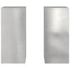 vidaXL Plantenstandaard 2 pcs Zilver 24 x 24 x 55 cm Roestvrij staal