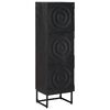 vidaXL Hoge kast Zwart 35 x 30 x 120 cm