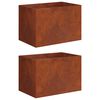 vidaXL Plantenbak 2 st Roestkleurig 50 x 40 x 40 cm weervast staal