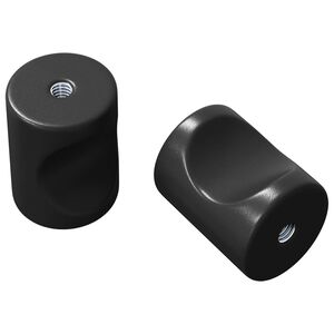 vidaXL Kastknop 2 st Zwart 18 x 23 mm IJzer