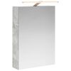 vidaXL Badkamer spiegelkast Beton Grijs 50 x 14,5 x 70 cm Bewerkt hout