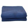 vidaXL Tenttapijt Blauw 250 x 250 cm Polyester