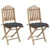 vidaXL Opklapbare stoelen (2 stuks) met kussens, bamboe