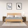 vidaXL Nachtkastjes 2 st 50x35x61,5 cm massief grenenhout honingbruin