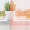 Miniatuurafbeelding van het product 3 van 9