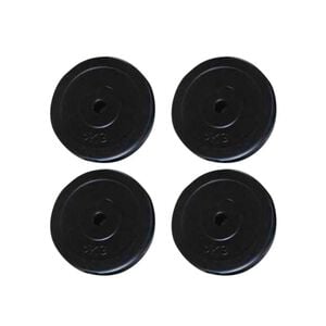 vidaXL Halterschijven 4 st 20 kg