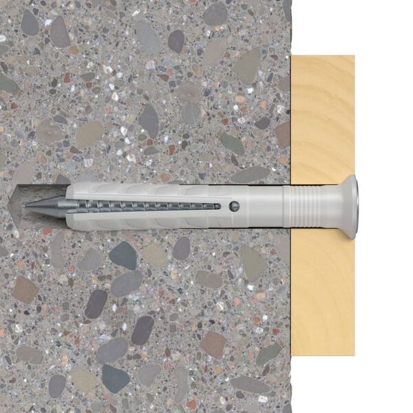 Fischer 50-delige Pluggen- en schroevenset Hammerfix N 10 x 100/50 S