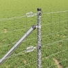 Miniatuurafbeelding van het product 5 van 18