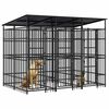 vidaXL Hondenkennel met dak 5,53 m&sup2; staal