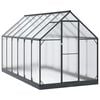 vidaXL Tuin Serre 183,5 x 363,5 x 207 cm