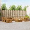 vidaXL Sofa-Sets 10 pcs Naturel Massief Acaciahout