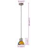vidaXL Hanglamp industrieel rond 25 W E27 17 cm meerkleurig