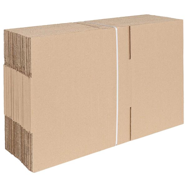 vidaXL Vouwdoos met opslag 50 pcs Naturel 30 x 21,5 x 14 cm Karton