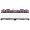 Miniatuurafbeelding van het product 7 van 9