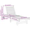 vidaXL Ligstoelen 2 st massief acaciahout