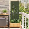vidaXL Tuin Privacy Screen Olijfgroen 50 x 140 cm Koudgewalst staal