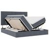 vidaXL Opslag bed met hoofdeinde Donkergrijs 200 x 200 cm Fluweel