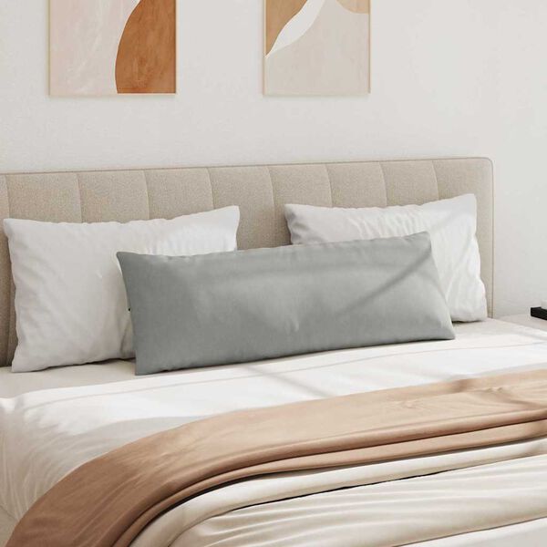 vidaXL Sofa Kussens 2 stuks Lichtgrijs 120 x 40 cm Stof