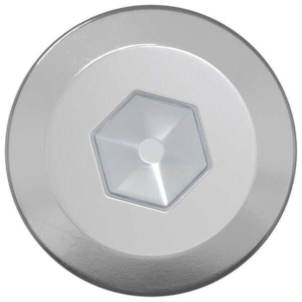 vidaXL Houten Schroeven 2 pcs Zilver M6 x 70 mm Staal