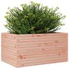 vidaXL Plantenbak 90x60x46 cm massief douglashout