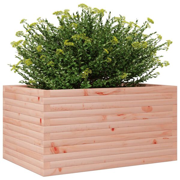 vidaXL Plantenbak 90x60x46 cm massief douglashout