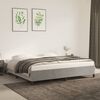 vidaXL Bedframe zonder matras 200x200 cm fluweel lichtgrijs