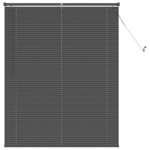 vidaXL Venetiaanse Blind Verstelbaar Zilvergrijs 150 x 110 cm PVC
