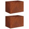 vidaXL Plantenbak 2 st Roestkleurig 60 x 40 x 40 cm weervast staal