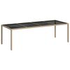 vidaXL Tuintafel 250x100x75 cm gehard glas en poly rattan beige