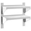 vidaXL Wandschap 2-laags 50x23,5x48 cm roestvrijstaal zilverkleurig