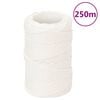 vidaXL Boottouw 2 mm 250 m polypropyleen volwit