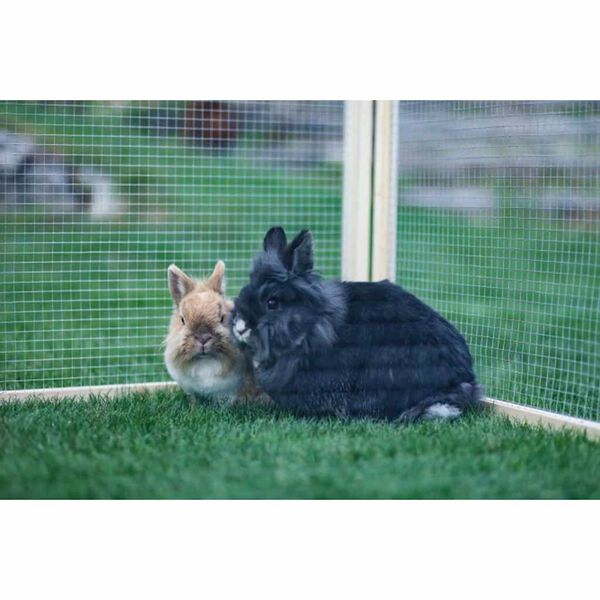 Kerbl Buitenren voor huisdieren Vario hout bruin 84399