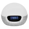 Lumie Wake-up light Bodyclock Shine 300 wit en grijs