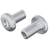 vidaXL Slotschroef Effen 2 st Zilver M6 x 12 mm Staal