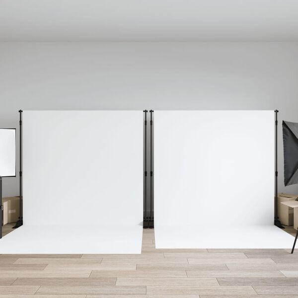 vidaXL Achtergrondstandaards 2 st 305x243 cm staal zwart