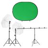 vidaXL Fotostudioset met verlichtingsset en achtergrondscherm