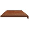 vidaXL Raamsokkel Bruin Hout 160 x 40 x 4,5 cm PVC