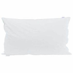 vidaXL Hoofdkussen met kussen Wit 40 x 80 cm Veren