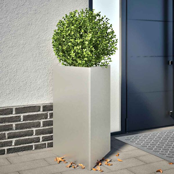 Productafbeelding 2 van 12