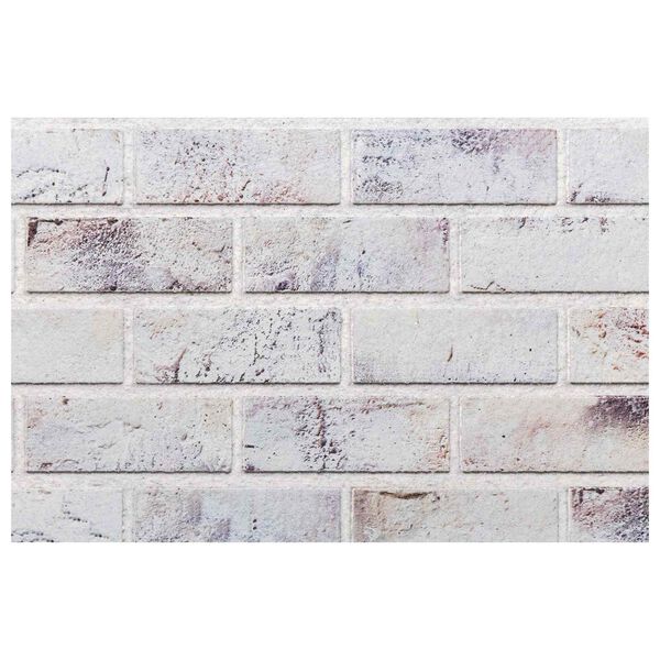 vidaXL Wandpanelen 10 pcs Lichtgrijs en zwart 100 x 50 cm EPS-schuim