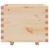 vidaXL Plantenbak 60x60x49,5 cm massief grenenhout