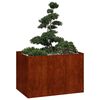 Miniatuurafbeelding van het product 3 van 11